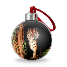 Ёлочный шар с принтом Тигр в Екатеринбурге, Пластик | Диаметр: 77 мм | Тематика изображения на принте: дикая кошка | лес | природа | тигр | хищник