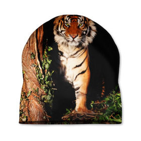Шапка 3D с принтом Тигр в Екатеринбурге, 100% полиэстер | универсальный размер, печать по всей поверхности изделия | дикая кошка | лес | природа | тигр | хищник