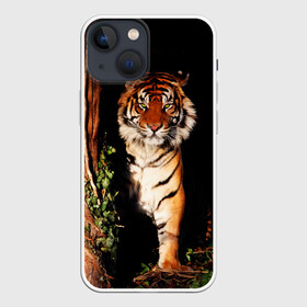 Чехол для iPhone 13 mini с принтом Тигр в Екатеринбурге,  |  | дикая кошка | лес | природа | тигр | хищник