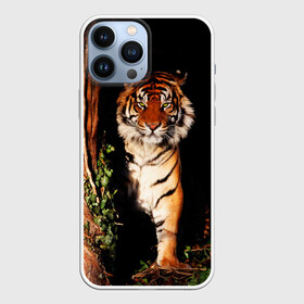 Чехол для iPhone 13 Pro Max с принтом Тигр в Екатеринбурге,  |  | Тематика изображения на принте: дикая кошка | лес | природа | тигр | хищник