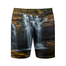 Мужские шорты 3D спортивные с принтом Водопад в Екатеринбурге,  |  | вода | лес | пейзаж | природа