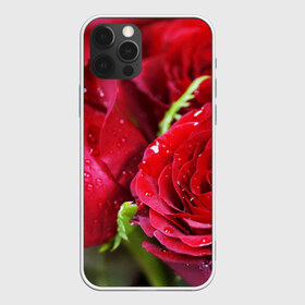 Чехол для iPhone 12 Pro Max с принтом Цветы в Екатеринбурге, Силикон |  | бабочки | весна | краски | лето | осень | розы | цветок | цветы