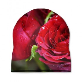 Шапка 3D с принтом Цветы в Екатеринбурге, 100% полиэстер | универсальный размер, печать по всей поверхности изделия | бабочки | весна | краски | лето | осень | розы | цветок | цветы