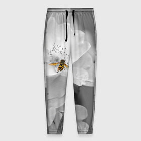 Мужские брюки 3D с принтом Пчела на цветах в Екатеринбурге, 100% полиэстер | манжеты по низу, эластичный пояс регулируется шнурком, по бокам два кармана без застежек, внутренняя часть кармана из мелкой сетки | лепестки | цветы