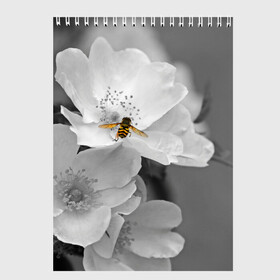 Скетчбук с принтом Пчела на цветах в Екатеринбурге, 100% бумага
 | 48 листов, плотность листов — 100 г/м2, плотность картонной обложки — 250 г/м2. Листы скреплены сверху удобной пружинной спиралью | Тематика изображения на принте: лепестки | цветы