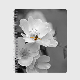 Тетрадь с принтом Пчела на цветах в Екатеринбурге, 100% бумага | 48 листов, плотность листов — 60 г/м2, плотность картонной обложки — 250 г/м2. Листы скреплены сбоку удобной пружинной спиралью. Уголки страниц и обложки скругленные. Цвет линий — светло-серый
 | Тематика изображения на принте: лепестки | цветы
