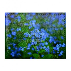 Обложка для студенческого билета с принтом Синие цветы в Екатеринбурге, натуральная кожа | Размер: 11*8 см; Печать на всей внешней стороне | лепестки | прикольные картинки | цветочки | цветы