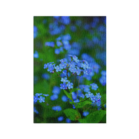 Обложка для паспорта матовая кожа с принтом Синие цветы в Екатеринбурге, натуральная матовая кожа | размер 19,3 х 13,7 см; прозрачные пластиковые крепления | лепестки | прикольные картинки | цветочки | цветы
