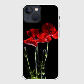 Чехол для iPhone 13 mini с принтом Маки в Екатеринбурге,  |  | background | black | flowers | poppies | poppy | red | wild | красные | мак | маки | полевые | фон | цветы | черный