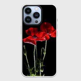 Чехол для iPhone 13 Pro с принтом Маки в Екатеринбурге,  |  | Тематика изображения на принте: background | black | flowers | poppies | poppy | red | wild | красные | мак | маки | полевые | фон | цветы | черный