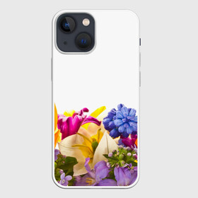Чехол для iPhone 13 mini с принтом Среди цветов в Екатеринбурге,  |  | аромат | букет | вазон | великолепие | краски | красота | куст | луг | полевые цветы | полянка | природа | растения | украшение | фауна | цветник | цветы