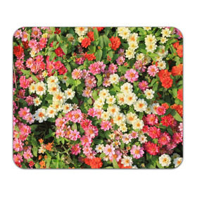 Коврик прямоугольный с принтом Весеннее настроение в Екатеринбурге, натуральный каучук | размер 230 х 185 мм; запечатка лицевой стороны | аромат | букет | вазон | великолепие | краски | красота | куст | луг | полевые цветы | полянка | природа | растения | розы | ромашки | тюльпаны | украшение | фауна | цветник | цветок | цветочек | цветы
