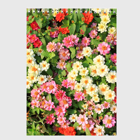 Скетчбук с принтом Весеннее настроение в Екатеринбурге, 100% бумага
 | 48 листов, плотность листов — 100 г/м2, плотность картонной обложки — 250 г/м2. Листы скреплены сверху удобной пружинной спиралью | аромат | букет | вазон | великолепие | краски | красота | куст | луг | полевые цветы | полянка | природа | растения | розы | ромашки | тюльпаны | украшение | фауна | цветник | цветок | цветочек | цветы