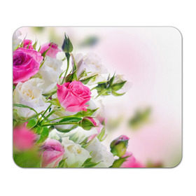 Коврик прямоугольный с принтом Алые розы в Екатеринбурге, натуральный каучук | размер 230 х 185 мм; запечатка лицевой стороны | аромат | букет | вазон | великолепие | краски | красота | куст | нежность | природа | растения | розы | украшение | фауна | цветник | цветы