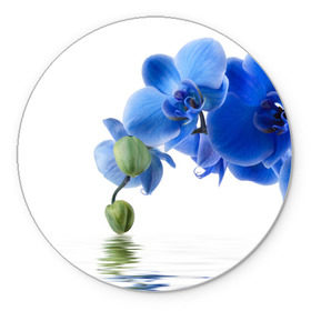 Коврик круглый с принтом Веточка орхидеи в Екатеринбурге, резина и полиэстер | круглая форма, изображение наносится на всю лицевую часть | ветка | красота | нежность | орхидея | природа | растение | фауна | цветок | цветы