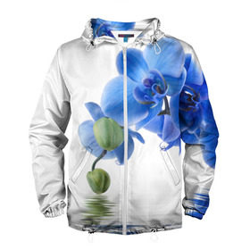 Мужская ветровка 3D с принтом Веточка орхидеи в Екатеринбурге, 100% полиэстер | подол и капюшон оформлены резинкой с фиксаторами, два кармана без застежек по бокам, один потайной карман на груди | ветка | красота | нежность | орхидея | природа | растение | фауна | цветок | цветы
