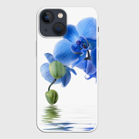 Чехол для iPhone 13 mini с принтом Веточка орхидеи в Екатеринбурге,  |  | ветка | красота | нежность | орхидея | природа | растение | фауна | цветок | цветы