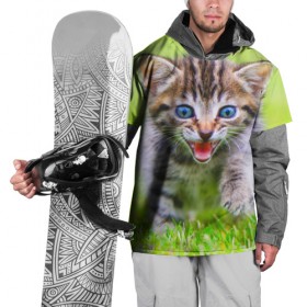 Накидка на куртку 3D с принтом Кися в Екатеринбурге, 100% полиэстер |  | Тематика изображения на принте: домашние | животные | кот | котёнок | кошка | милый