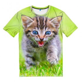 Мужская футболка 3D с принтом Кися в Екатеринбурге, 100% полиэфир | прямой крой, круглый вырез горловины, длина до линии бедер | домашние | животные | кот | котёнок | кошка | милый