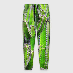 Мужские брюки 3D с принтом Кактус в Екатеринбурге, 100% полиэстер | манжеты по низу, эластичный пояс регулируется шнурком, по бокам два кармана без застежек, внутренняя часть кармана из мелкой сетки | кактус | колючки | прикольные картинки | природа | цветочки | цветы