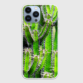 Чехол для iPhone 13 Pro Max с принтом Кактус в Екатеринбурге,  |  | кактус | колючки | прикольные картинки | природа | цветочки | цветы
