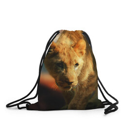 Рюкзак-мешок 3D с принтом Львица в Екатеринбурге, 100% полиэстер | плотность ткани — 200 г/м2, размер — 35 х 45 см; лямки — толстые шнурки, застежка на шнуровке, без карманов и подкладки | lion | голова животного | дикая кошка | кот | лев | цвет