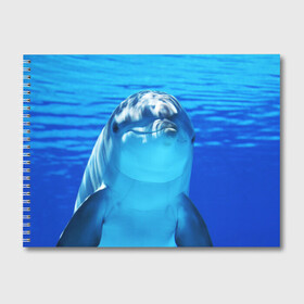Альбом для рисования с принтом Дельфин в Екатеринбурге, 100% бумага
 | матовая бумага, плотность 200 мг. | вода | дельфин | море | отдых | отпуск | подводный мир | туризм
