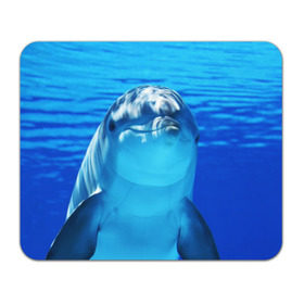 Коврик прямоугольный с принтом Дельфин в Екатеринбурге, натуральный каучук | размер 230 х 185 мм; запечатка лицевой стороны | вода | дельфин | море | отдых | отпуск | подводный мир | туризм