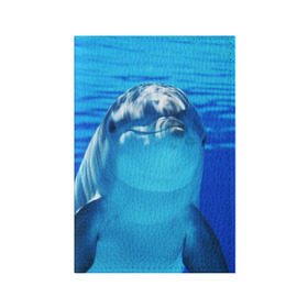 Обложка для паспорта матовая кожа с принтом Дельфин в Екатеринбурге, натуральная матовая кожа | размер 19,3 х 13,7 см; прозрачные пластиковые крепления | вода | дельфин | море | отдых | отпуск | подводный мир | туризм