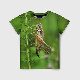 Детская футболка 3D с принтом Кузнечик в Екатеринбурге, 100% гипоаллергенный полиэфир | прямой крой, круглый вырез горловины, длина до линии бедер, чуть спущенное плечо, ткань немного тянется | Тематика изображения на принте: насекомые. кузнечик | природа | стебель