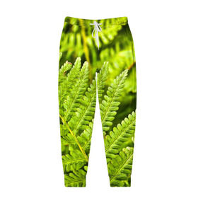Мужские брюки 3D с принтом Папоротник в Екатеринбурге, 100% полиэстер | манжеты по низу, эластичный пояс регулируется шнурком, по бокам два кармана без застежек, внутренняя часть кармана из мелкой сетки | ботаника | зелень | листья | папоротник | природа | растения | цветок