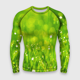 Мужской рашгард 3D с принтом Роса на траве в Екатеринбурге,  |  | Тематика изображения на принте: зелёный | зелень | луг | роса | яркий