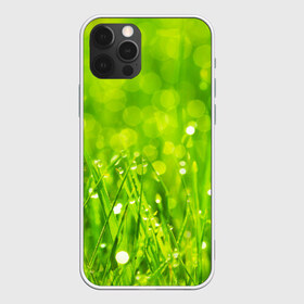 Чехол для iPhone 12 Pro Max с принтом Роса на траве в Екатеринбурге, Силикон |  | зелёный | зелень | луг | роса | яркий