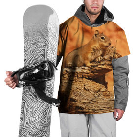 Накидка на куртку 3D с принтом Суслик в Екатеринбурге, 100% полиэстер |  | голова животного | грызун | песок | природа | пустыня | степь | суслик