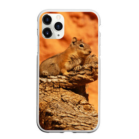Чехол для iPhone 11 Pro матовый с принтом Суслик в Екатеринбурге, Силикон |  | голова животного | грызун | песок | природа | пустыня | степь | суслик