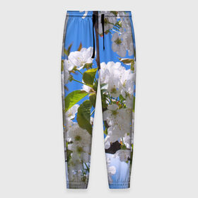 Мужские брюки 3D с принтом Вишнёвый цвет в Екатеринбурге, 100% полиэстер | манжеты по низу, эластичный пояс регулируется шнурком, по бокам два кармана без застежек, внутренняя часть кармана из мелкой сетки | весна | вишня | лепестки | прикольные картинки | цветение | цветы