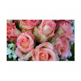Бумага для упаковки 3D с принтом Розы в Екатеринбурге, пластик и полированная сталь | круглая форма, металлическое крепление в виде кольца | Тематика изображения на принте: букет | вода | капли | лепестки | природа | растения | розовые | розы | роса | цветок | цветы
