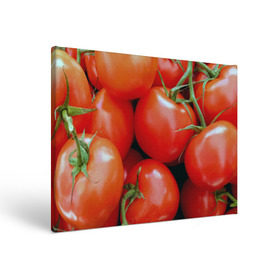 Холст прямоугольный с принтом Томаты в Екатеринбурге, 100% ПВХ |  | Тематика изображения на принте: дача | еда | зелень | красный | овощи | огород | помидоры | томаты