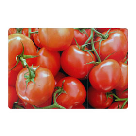Магнитный плакат 3Х2 с принтом Томаты в Екатеринбурге, Полимерный материал с магнитным слоем | 6 деталей размером 9*9 см | дача | еда | зелень | красный | овощи | огород | помидоры | томаты