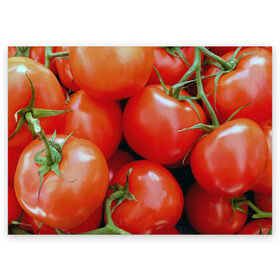 Поздравительная открытка с принтом Томаты в Екатеринбурге, 100% бумага | плотность бумаги 280 г/м2, матовая, на обратной стороне линовка и место для марки
 | Тематика изображения на принте: дача | еда | зелень | красный | овощи | огород | помидоры | томаты