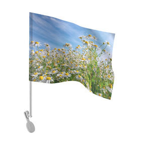 Флаг для автомобиля с принтом Ромашковый рай в Екатеринбурге, 100% полиэстер | Размер: 30*21 см | лепестки | небо | прикольные картинки | ромашки | солнце | цветочки | цветы