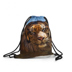 Рюкзак-мешок 3D с принтом Тигр в Екатеринбурге, 100% полиэстер | плотность ткани — 200 г/м2, размер — 35 х 45 см; лямки — толстые шнурки, застежка на шнуровке, без карманов и подкладки | вода | дикая кошка | природа | тигр | хищник