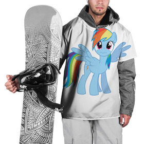 Накидка на куртку 3D с принтом My little pony 2 в Екатеринбурге, 100% полиэстер |  | пони