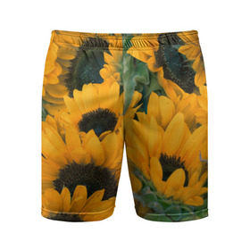 Мужские шорты 3D спортивные с принтом Подсолнухи в Екатеринбурге,  |  | желтый | зеленый | лето | подсолнухи | цветы | черный