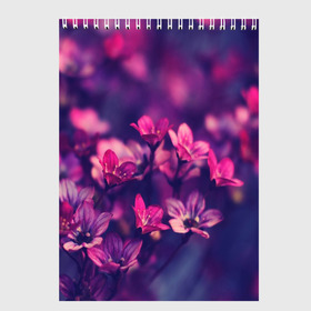 Скетчбук с принтом Цветы в Екатеринбурге, 100% бумага
 | 48 листов, плотность листов — 100 г/м2, плотность картонной обложки — 250 г/м2. Листы скреплены сверху удобной пружинной спиралью | flower | nature | violet | природа | цветы