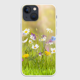 Чехол для iPhone 13 mini с принтом Солнечная нежность в Екатеринбурге,  |  | лепестки | лучи | прикольные картинки | солнце | цветочки | цветы