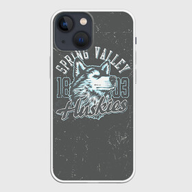 Чехол для iPhone 13 mini с принтом Team t shirt 5 в Екатеринбурге,  |  | american football | baseball | fashion | football | sport | sport league | style | team | west | американский футбол | бейсбол | запад | команды | мода | надписи | спорт | спортивные лиги | стиль | футбол | футбольные лиги