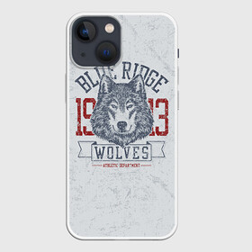 Чехол для iPhone 13 mini с принтом Team t shirt в Екатеринбурге,  |  | american football | baseball | fashion | football | sport | sport league | style | team | west | американский футбол | бейсбол | запад | команды | мода | надписи | спорт | спортивные лиги | стиль | футбол | футбольные лиги