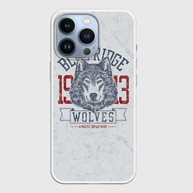 Чехол для iPhone 13 Pro с принтом Team t shirt в Екатеринбурге,  |  | american football | baseball | fashion | football | sport | sport league | style | team | west | американский футбол | бейсбол | запад | команды | мода | надписи | спорт | спортивные лиги | стиль | футбол | футбольные лиги