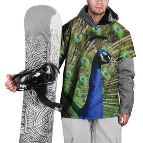 Накидка на куртку 3D с принтом Павлин в Екатеринбурге, 100% полиэстер |  | Тематика изображения на принте: животные | павлин | перо | перышки | природа | птица